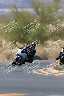 media/May-14-2023-SoCal Trackdays (Sun) [[024eb53b40]]/Turn 5 Tree of Life (1125am)/